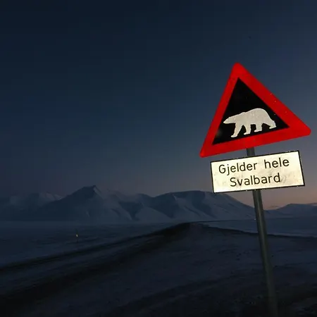 Basecamp Отель 4*